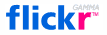 Logotipo de flickr gamma